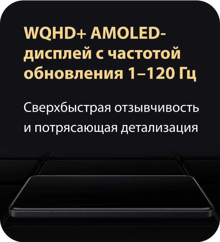 WQHD+ AMOLED-дисплей с частотой обновления 1–120 Гц. Сверхбыстрая отзывчивость и потрясающая детализация